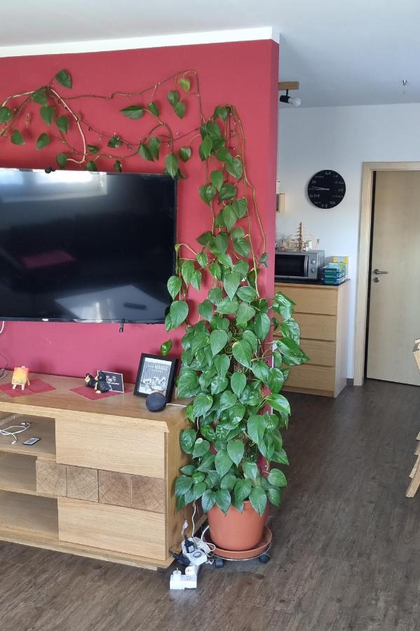 Ferienwohnung Bergidyll Schwarzenberg  Exterior foto